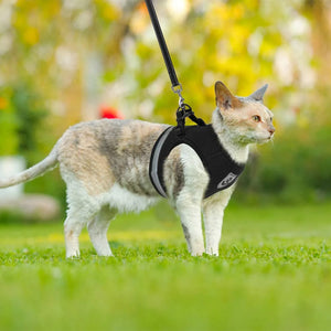 SafeWalk Cat Harness - GoPoofy