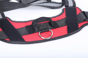 TailoredPaws Reflective Dog Harness - GoPoofy