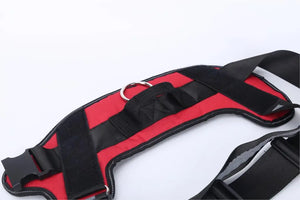 TailoredPaws Reflective Dog Harness - GoPoofy
