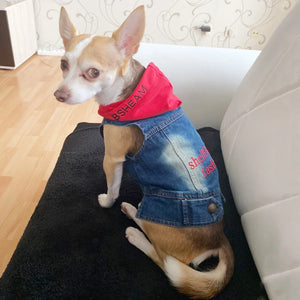 CoolPaws Denim Shirt: Summer Dog Outfit - GoPoofy