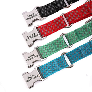 SafeGlow Personalized Dog Collar - GoPoofy