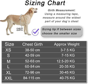 EasyWalk Reflective Dog Harness - GoPoofy