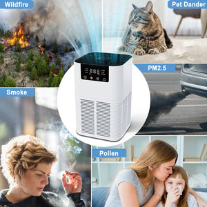 Pet Air Purifier & Odor Eliminator - GoPoofy