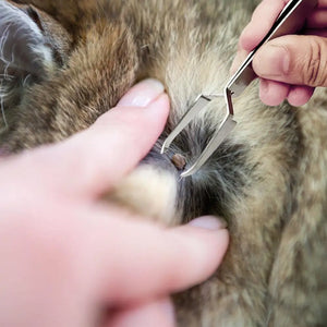 Pet Tick Remover Pro - GoPoofy