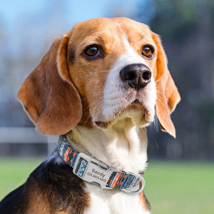 Adjustable Dog Collar - GoPoofy