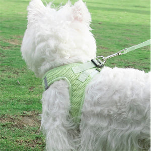 WaffleWalk Dog Harness Set - GoPoofy