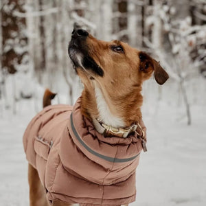 Winter Warm Dog Vest - GoPoofy