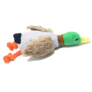 Cute Duck Squeaker Toy - GoPoofy