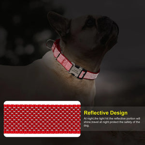 SafeGlow Personalized Dog Collar - GoPoofy