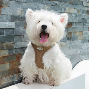WaffleWalk Dog Harness Set - GoPoofy