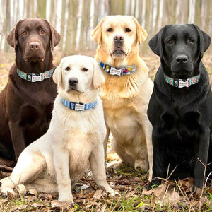 Adjustable Dog Collar - GoPoofy