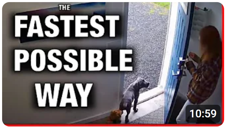 How to Train Your Dog to STAY (Even When Excited!)