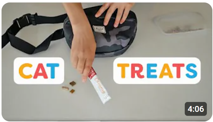 The Best Treats For Training Cats