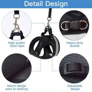 SafeWalk Cat Harness - GoPoofy