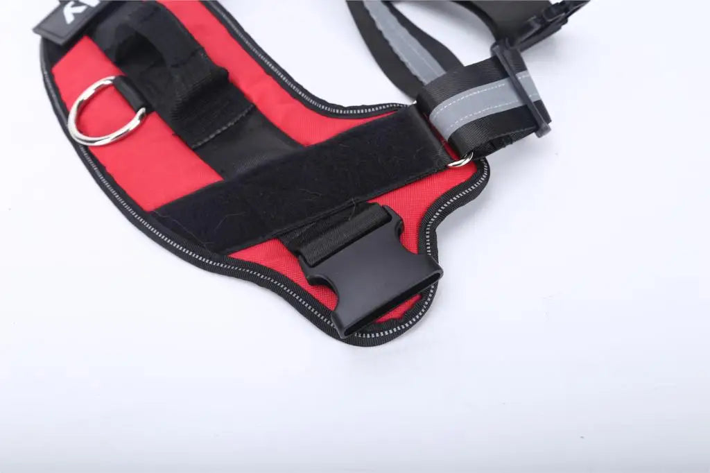 TailoredPaws Reflective Dog Harness - GoPoofy
