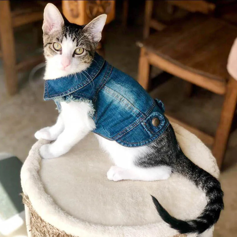 CoolPaws Denim Shirt: Summer Dog Outfit - GoPoofy