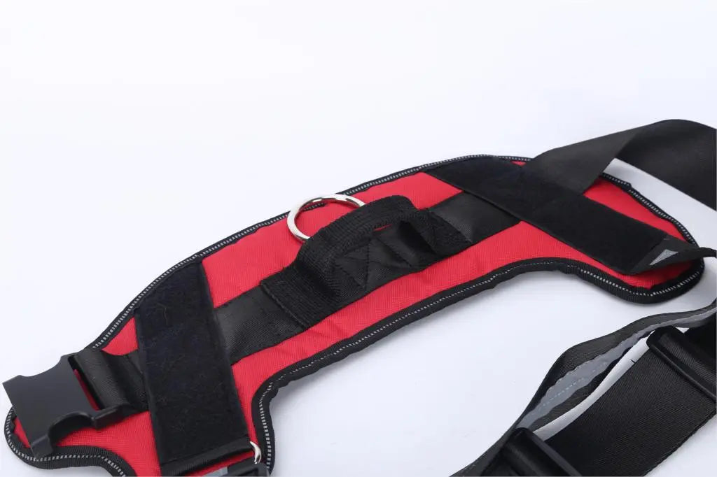TailoredPaws Reflective Dog Harness - GoPoofy