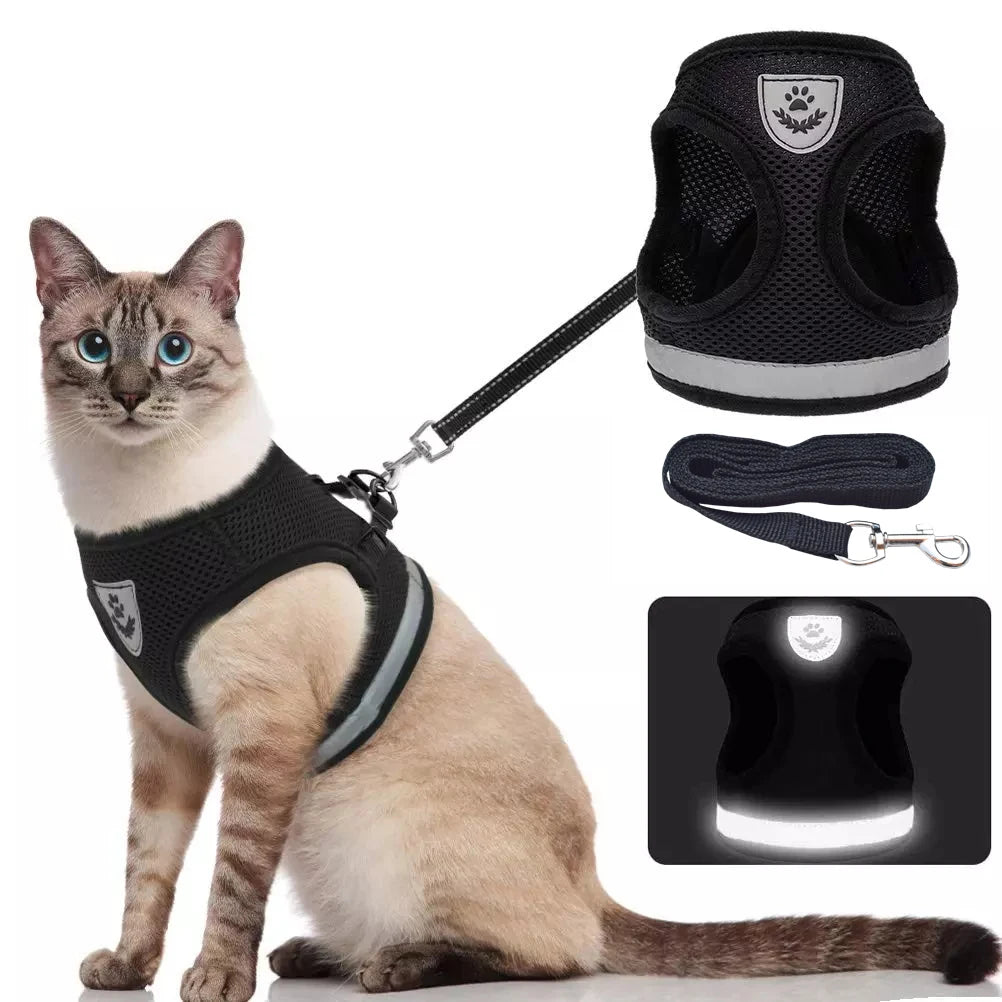 SafeWalk Cat Harness - GoPoofy