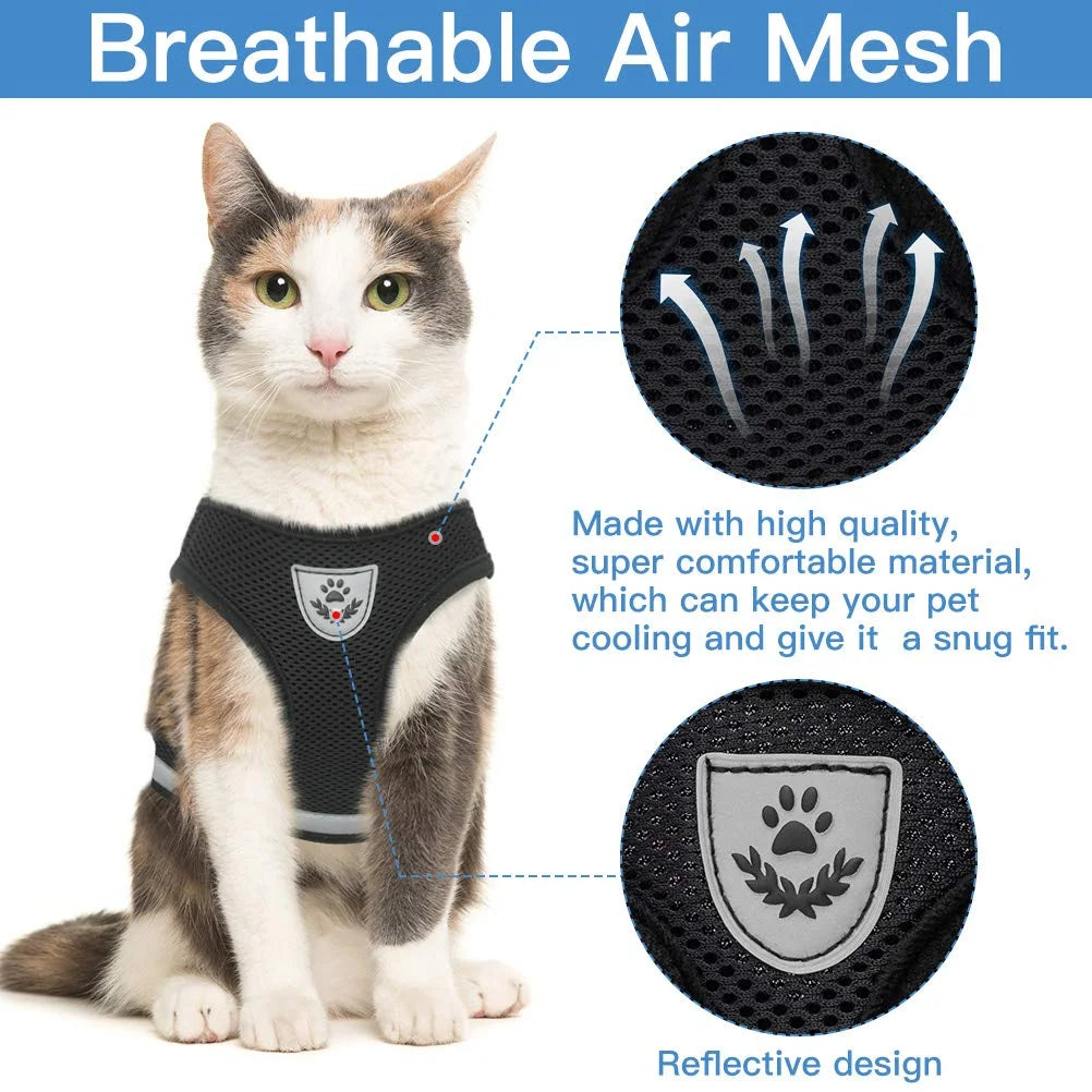 SafeWalk Cat Harness - GoPoofy