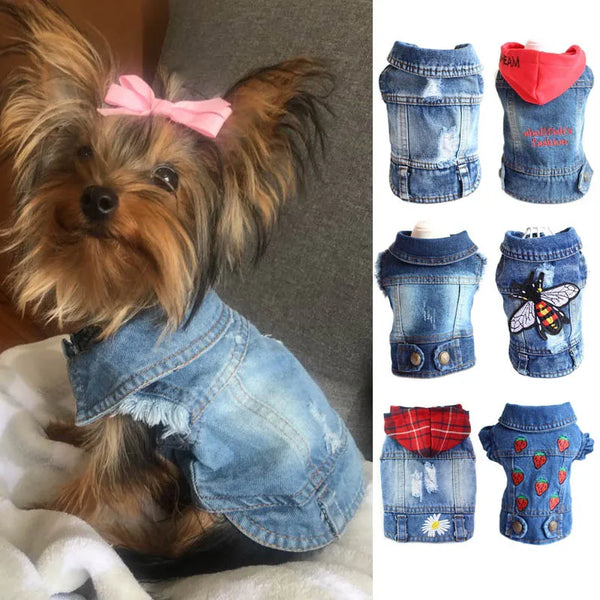 CoolPaws Denim Shirt: Summer Dog Outfit