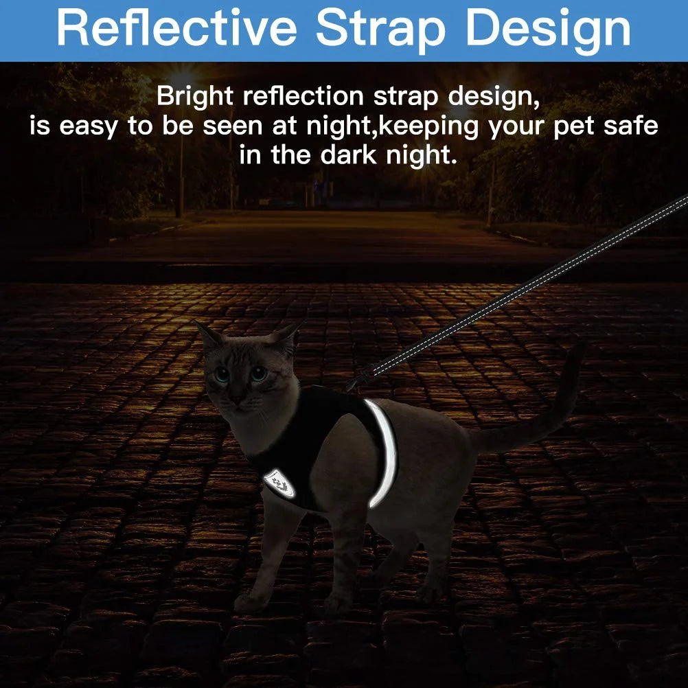 SafeWalk Cat Harness - GoPoofy