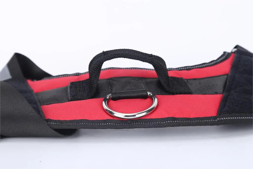 TailoredPaws Reflective Dog Harness - GoPoofy