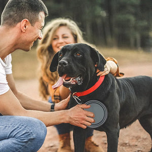 Collapsible Silicone Pet Bowl - GoPoofy