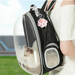 LED Laser Cat Toy - GoPoofy