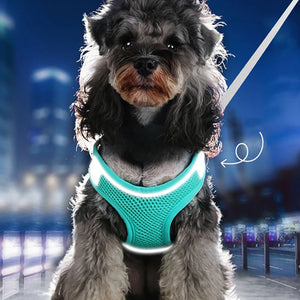 ReflectoFit Pet Harness Set - GoPoofy