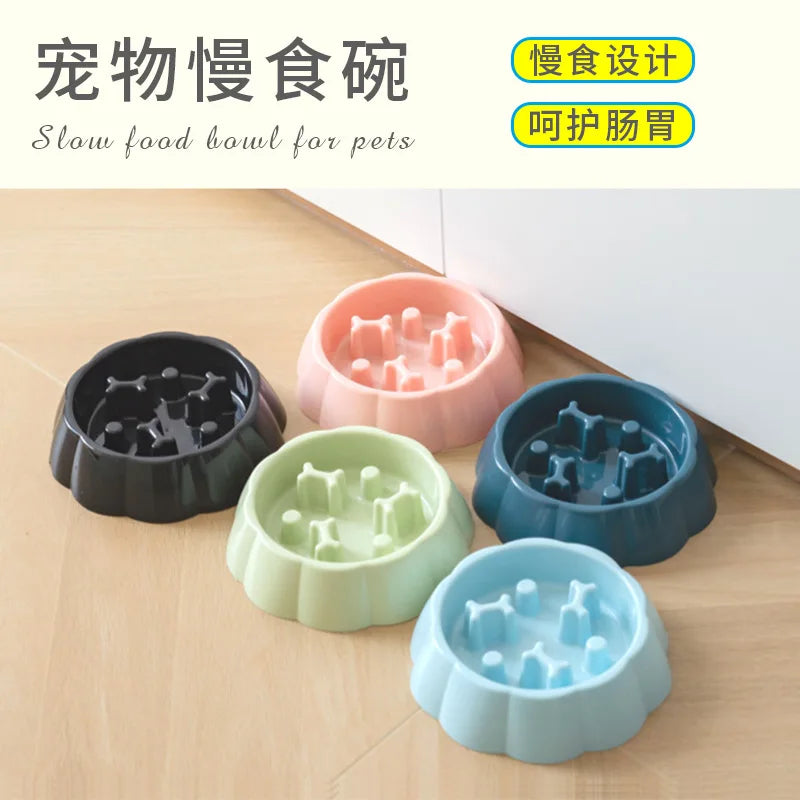 Colorful Slow Feeder Cat & Dog Bowl - GoPoofy