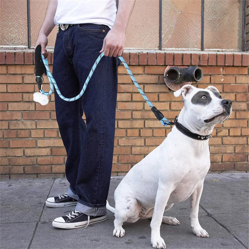ReflectaWalk Dog Leash - GoPoofy
