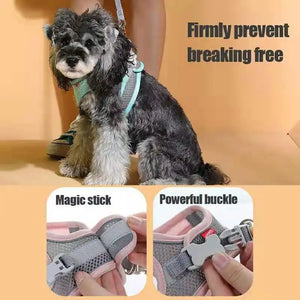 ReflectoFit Pet Harness Set - GoPoofy