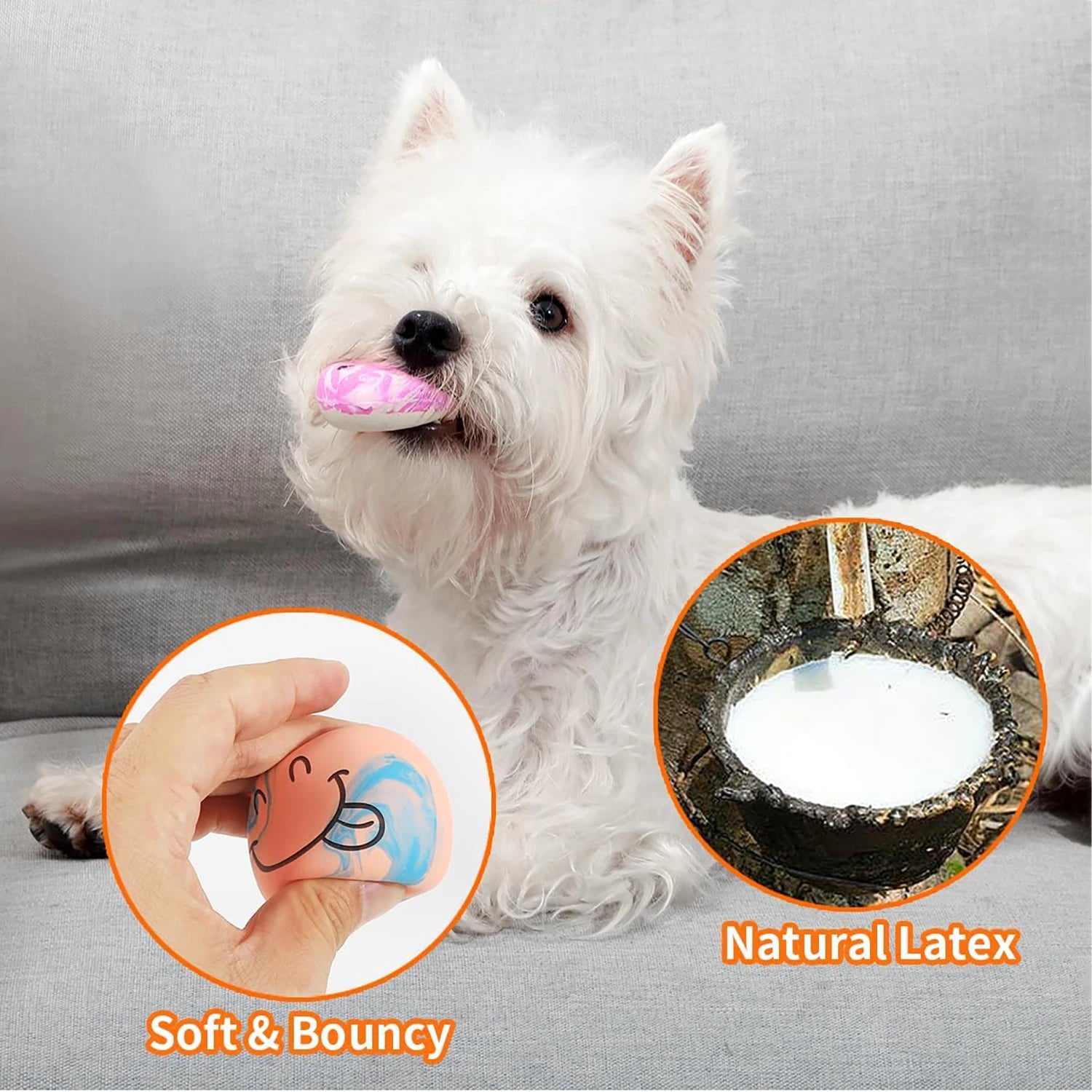 Squeaky Dog Ball Set - GoPoofy
