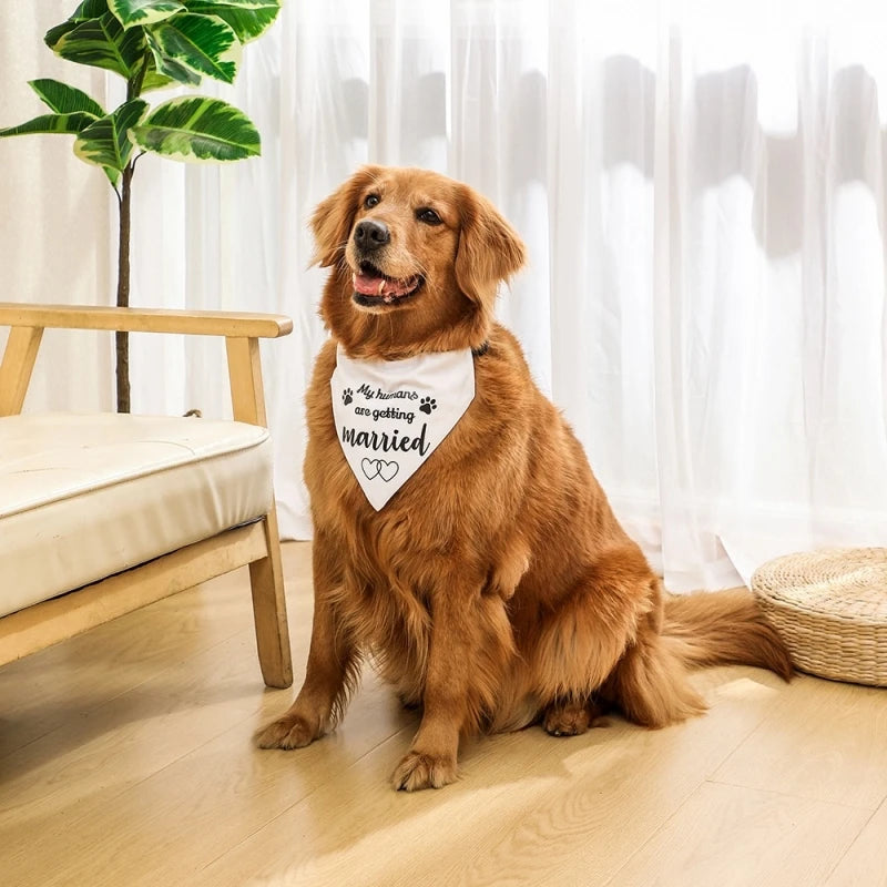 Cotton Dog Bandana - All-Season Pet Scarf - GoPoofy