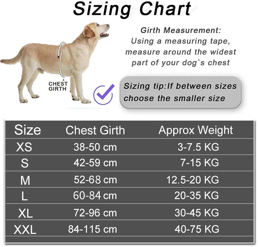 EasyWalk Reflective Dog Harness - GoPoofy