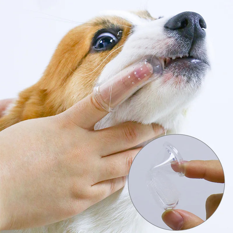 Silicone Pet Tooth Cleaner - GoPoofy