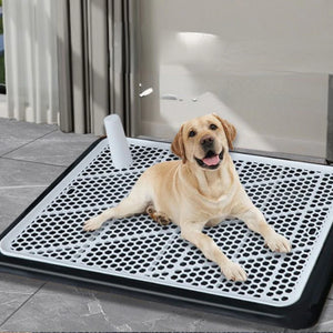 Scooper & Training Pads Set - GoPoofy
