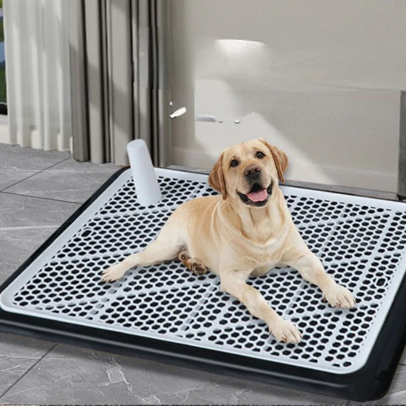 Scooper & Training Pads Set - GoPoofy