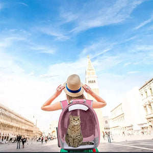 PetBubble Travel Pack - GoPoofy