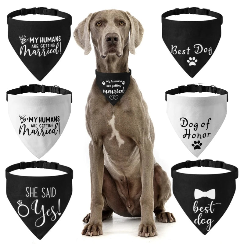 Cotton Dog Bandana - All-Season Pet Scarf - GoPoofy