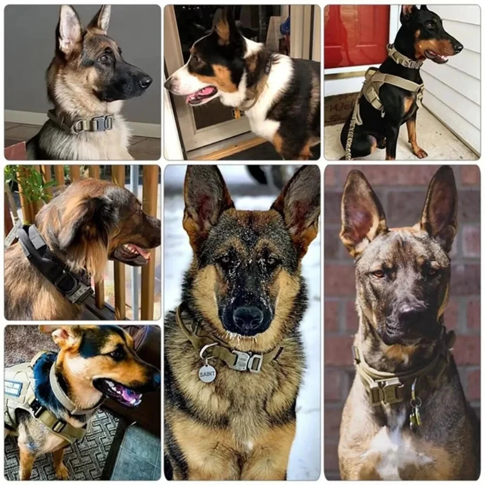 GuardianPaws Tactical Collar - GoPoofy