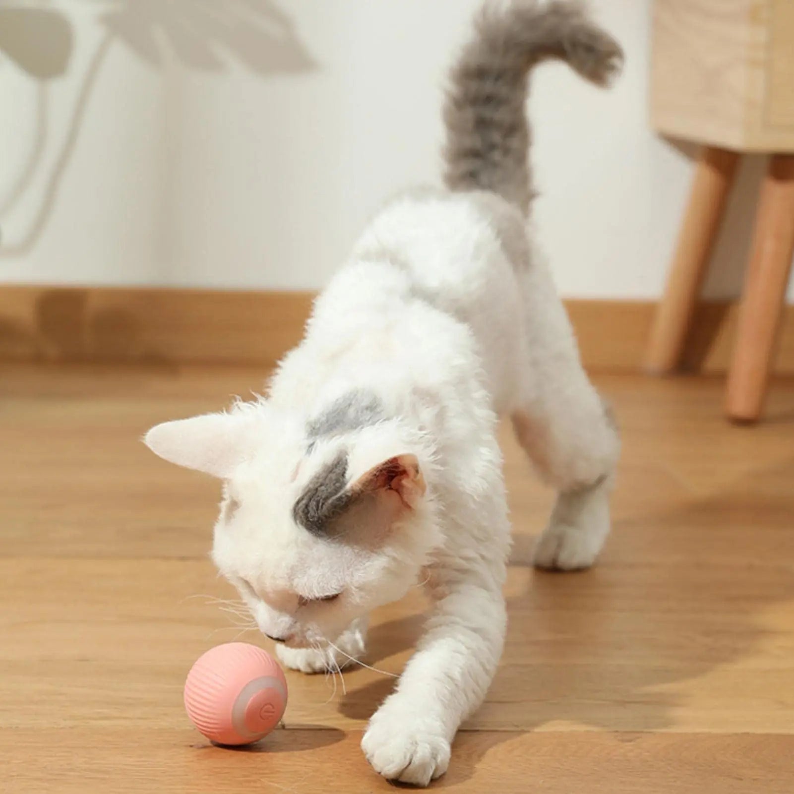 PawPlay Smart Rolling Ball - GoPoofy