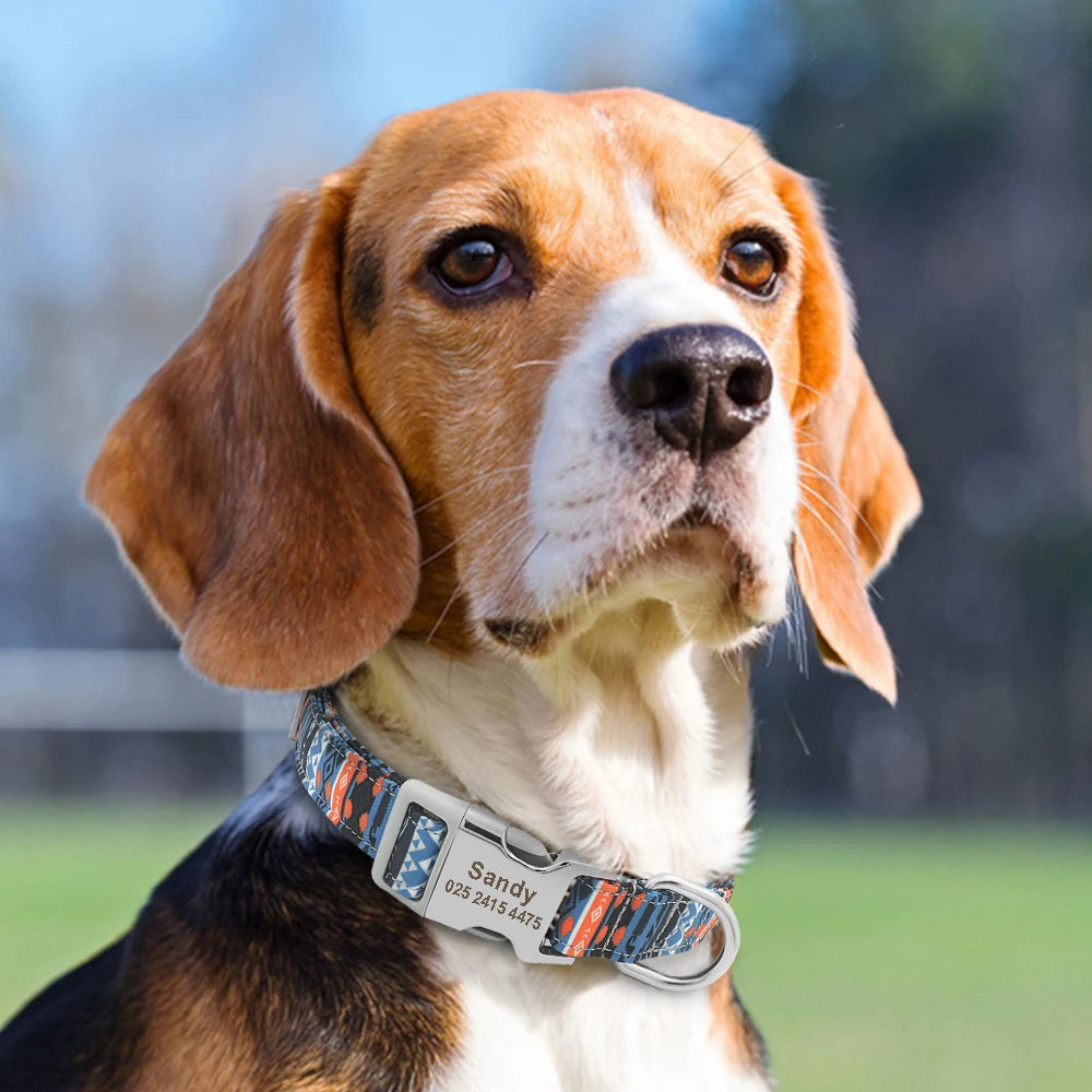 Adjustable Dog Collar - GoPoofy