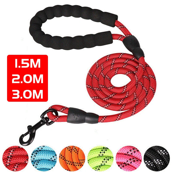 ReflectaWalk Dog Leash