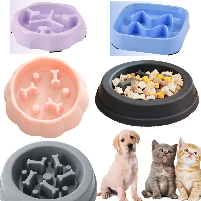 Colorful Slow Feeder Cat & Dog Bowl - GoPoofy