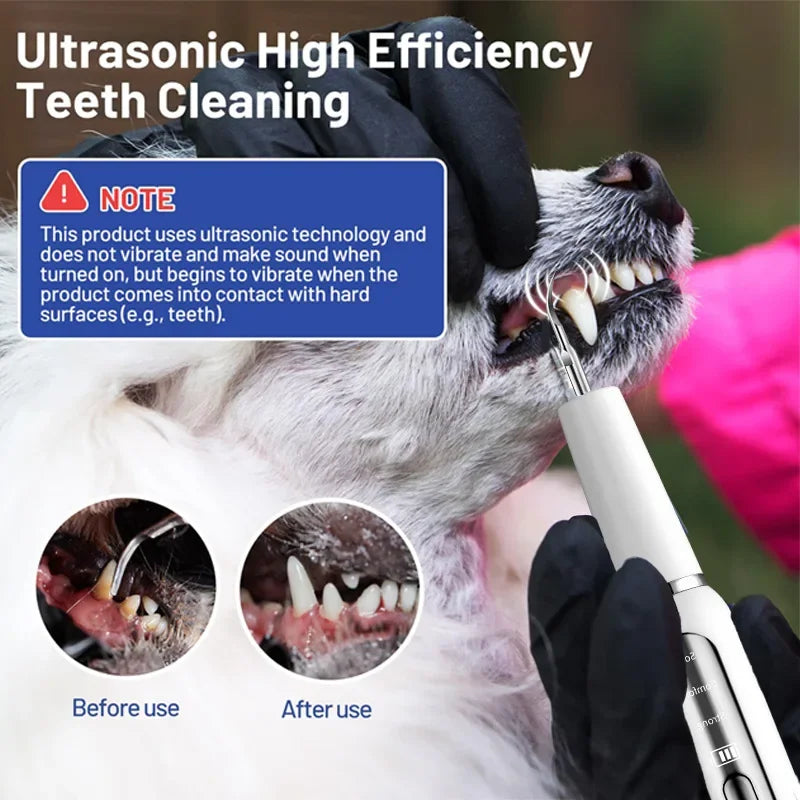 PetSmile Sonic Toothbrush: Tartar & Plaque Remover - GoPoofy