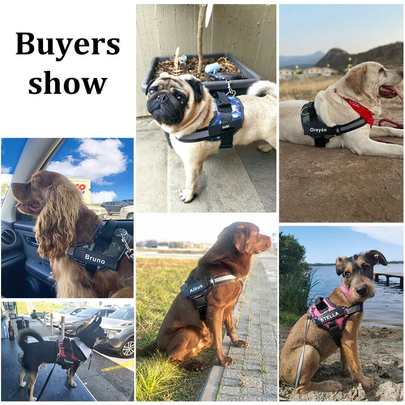 TailoredPaws Reflective Dog Harness - GoPoofy