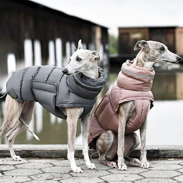 Winter Warm Dog Vest