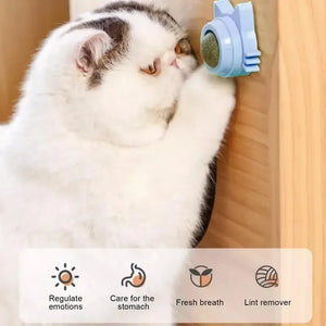 Lickable Cat Toys - GoPoofy
