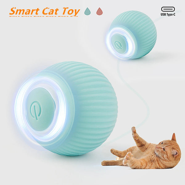 PawPlay Smart Rolling Ball